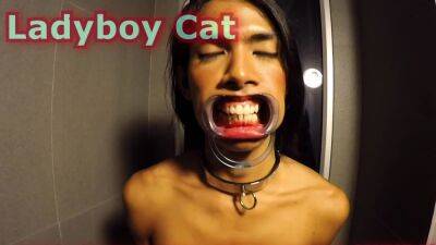 BlowJob - Ladyboy Cat Gives Blowjob After Getting Pissed On - drtvid.com