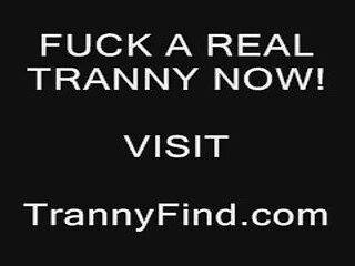I m Transroxy the brunette loves to be my bitch and rec - ashemaletube.com