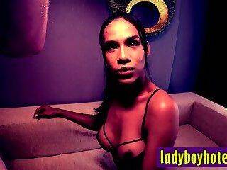 ladyboyhotel com perfect night and huge breasts thailan - ashemaletube.com