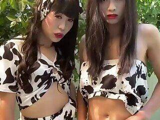 Two Cows Producing High Quality Milk - ashemaletube.com